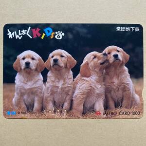 【使用済】 メトロカード 営団地下鉄 東京メトロ わんぱくKIDS6 犬