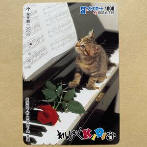 【使用済】 メトロカード 営団地下鉄 東京メトロ わんぱくKIDS18 猫
