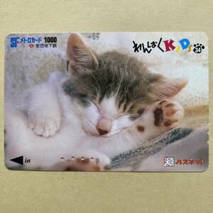 【使用済】 パスネット 営団地下鉄 東京メトロ わんぱくKIDS34 猫