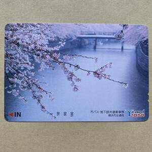 【未使用】 花Yカード 額面1,050円 横浜市交通局 桜