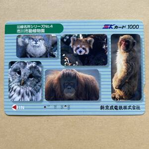 【使用済】 SKカード 新京成電鉄 沿線名所シリーズNo.4 市川市動植物園