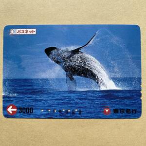 【使用済】 パスネット 東京急行電鉄 東急電鉄 クジラ