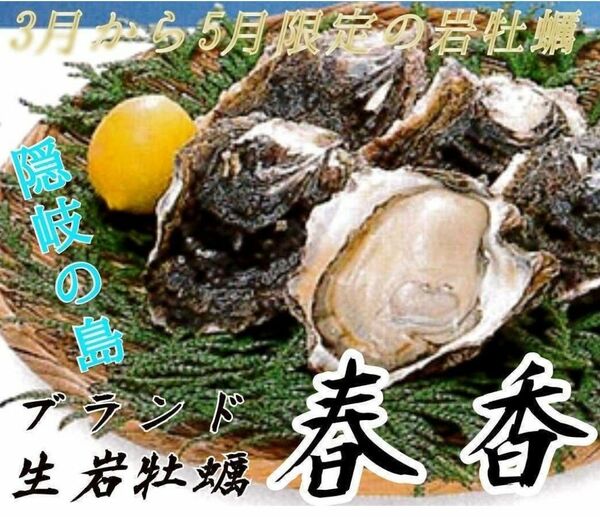 隠岐海士町産 岩牡蠣「春香」LLサイズ（400g以上）5個 約2kg BBQ 焼き肉 誕生日祝 父の日 還暦祝