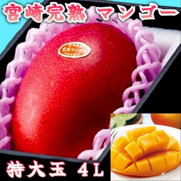 厳選 4L特大玉 赤秀品 化粧箱付 宮崎県特産完熟マンゴー 【宮崎県産 完熟マンゴー】1玉 誕生日祝 還暦祝 父の日コンペ賞品