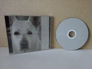 used CD / KHOSHI BABA 馬場浩史 STARNET MUZIK 012 / アンビエント AMBIENT 環境音楽 自然音 / 犬ジャケ【STARNET MUZIK/ZN-1113】