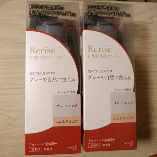 リライズ 白髪染め グレーアレンジ (自然なグレー) ふんわり仕上げ 男女兼用 本体 155g×2