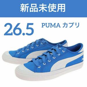 26.5 プーマ（PUMA）（メンズ）スニーカー カプリ RT 38026502