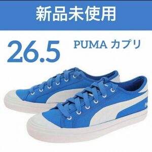 26.5 プーマ（PUMA）（メンズ）スニーカー カプリ RT 38026502