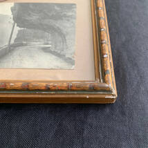 フランス 1900-20s 木製 25.5cm フレーム 額縁 ガラス コラージュ ポストカード ポスター ドライフラワー ヴィンテージ アンティーク_画像4