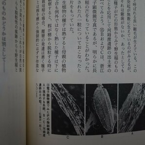 ◎日本文化の起源 民族学と遺伝学の対話 佐々木高明・森島啓子編 講談社 定価3800円 1993年初版の画像10