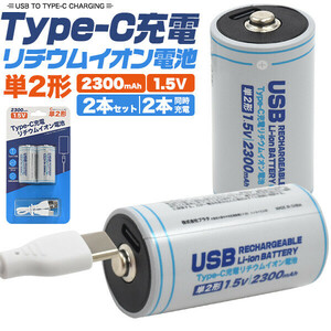 電池 充電 Type-C充電 リチウムイオン電池 単2形 2本