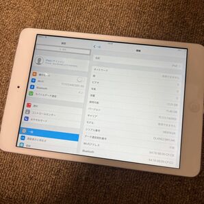 IPad mini2 16GB