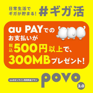 povo2.0 プロモコード300MB/3日間 入力期限：2024/6/5 ギガ活