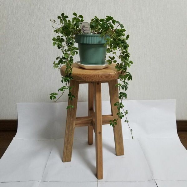 期間限定セール　ハンドメイド　スツール　椅子　丸椅子　茶　花台　観葉植物
