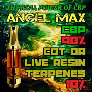 ANGEL MAX liquid 0.5ml 