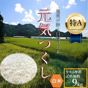 元気つくし 9kg 白米 5年産 お米