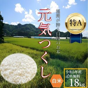 元気つくし 18kg 白米 5年産 お米