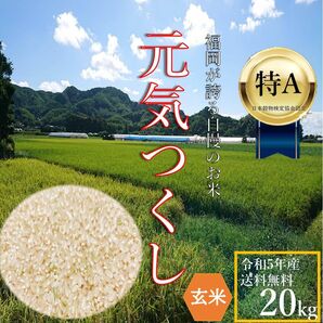 元気つくし 20kg 玄米 5年産 お米