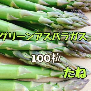 北海道産 アスパラガス 野菜の種 100粒