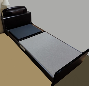!FRANCE BED/ France Bed farudoR/FL-RX1 electric reclining bed Sapporo pickup limitation shipping un- possible 