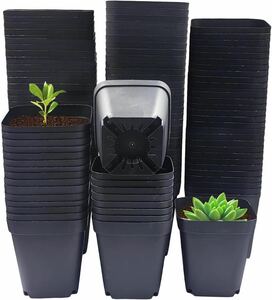  square childcare for pot 3 -inch 120 piece deep succulent plant plastic 