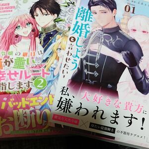 やり直し令嬢は、大好きな旦那様に離婚しようと言わせたい！ 1/悪役令嬢の継母は荷が重いので、全力で幸せルート目指します 