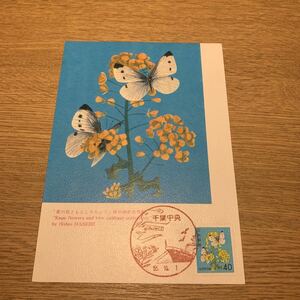  Maximum card 40 jpy ordinary stamp .. flower ... white butterfly Showa era 55 year issue 