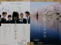 新作映画チラシ 朽ちないサクラ 2種2枚ずつ 邦画 劇場版ちらし 杉咲花 萩原利久 豊原功補 安田顕_画像1