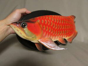 ●ハンドメイド　４０ｃｍアロワナ　レッド壁掛け　魚模型　古代魚　熱帯魚　フィギュア　レプリカ　fish craft REAL