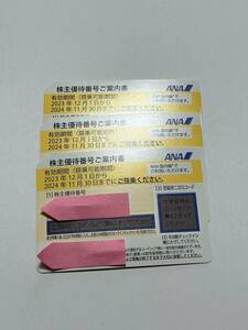 送料無料　ANA　全日空　株主優待券　2024年11月30日まで　3枚