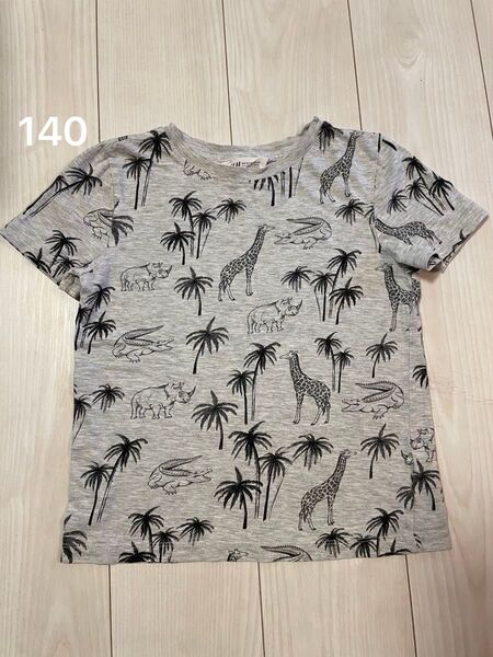 Tシャツ 動物 グレー 薄手 キリン サイ ワニ サファリ 130 134 140