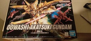 HG oo wasi красный есть Gundam текущее состояние самовывоз товар 