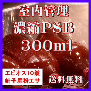 ★送料無料★ 室内管理濃縮培養PSB300ml＋エビオス10錠＋培養説明書＋針子用粉エサ　光合成細菌　水質調整、バクテリア