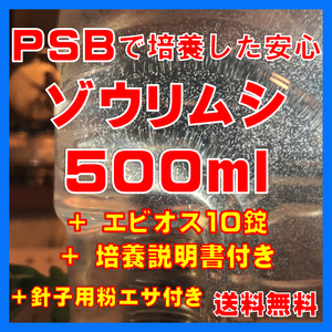 ★送料無料★PSBで培養したゾウリムシ種水500ml＋エビオス10錠＋培養説明書＋針子用粉エサ。