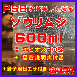 ★送料無料★PSBで培養したゾウリムシ種水600ml＋エビオス30錠＋培養説明書＋針子用粉エサ。