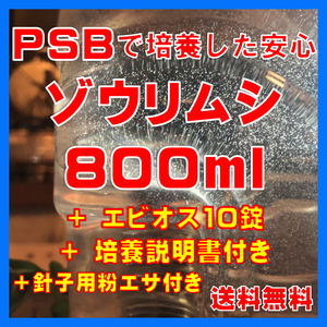 ★送料無料★PSBで培養したゾウリムシ種水800ml＋エビオス10錠＋培養説明書＋針子用粉エサ。