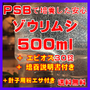 ★送料無料★PSBで培養したゾウリムシ種水500ml＋エビオス30錠＋培養説明書＋針子用粉エサ。