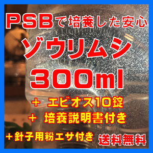 ★送料無料★PSBで培養したゾウリムシ種水300ml＋エビオス10錠＋培養説明書＋針子用粉エサ。