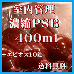 ★送料無料★ 室内管理濃縮培養PSB400ml＋エビオス10錠　光合成細菌　水質調整、バクテリア、めだか・金魚・熱帯魚などに最適。