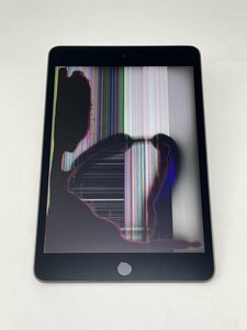 651【ジャンク品】 iPad mini 第5世代 64GB Wi-Fi スペースグレイ