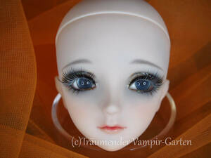 [VOLKS] Dollfie Dream 9S(yoru is 9 number S type ) make-up custom head + attached resin I 