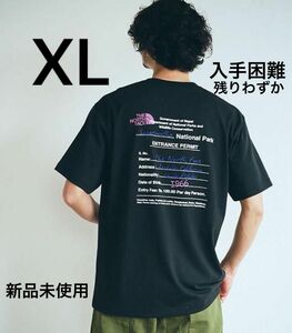 THE NORTH FACE BACK GRAPHIC PRINT 新作　ノースフェイス　Tシャツ　グラフィック　バックプリント