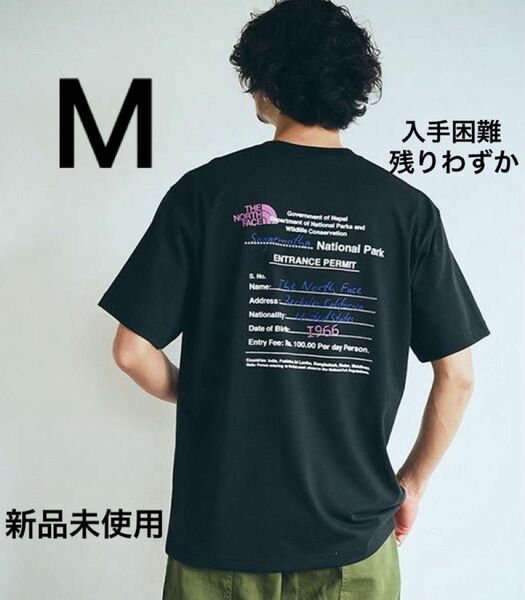 THE NORTH FACE BACK GRAPHIC PRINT 新作　ノースフェイス　Tシャツ　グラフィック　バックプリント