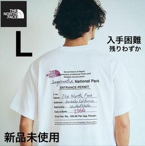 THE NORTH FACE BACK GRAPHIC PRINT 新作　ノースフェイス　Tシャツ　グラフィック　バックプリント