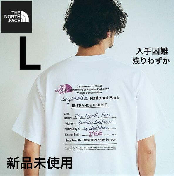 THE NORTH FACE BACK GRAPHIC PRINT 新作　ノースフェイス　Tシャツ　グラフィック　バックプリント