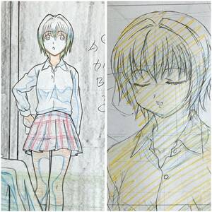 いちご100％ 原画 8枚セット 西野つかさ／ [Genga Cel] 