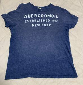 アバクロ　abercrombie＆fitch 　ダメージTシャツ　Lサイズ