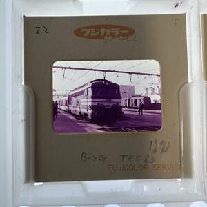 【昔の鉄道写真 ネガ ポジ】TEE83/B→G■1971年■星晃 氏 所蔵■P-22