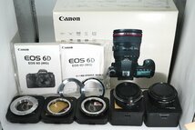 美品 5168ショット Canon デジタル一眼レフカメラ EOS 6D レンズキット EF24-105mm F4L IS USM 主要マウントアダプター各種、スピードライ_画像8