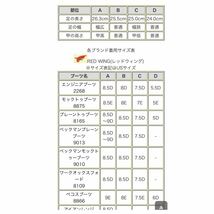 【安心品質0259】廃盤9111レッドウイングＲＥＤＷＩＮＧ10D送料込28_画像9